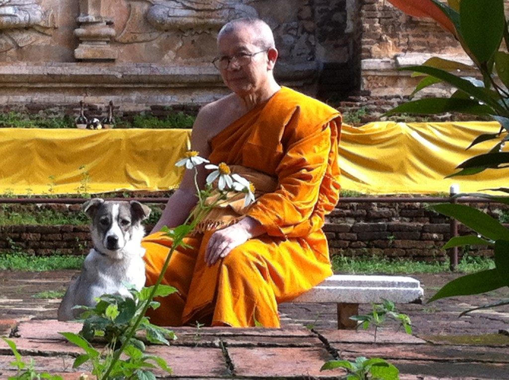 Venerable Abbot of Chiang Mai